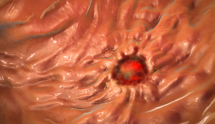 ���������� ����ȯ