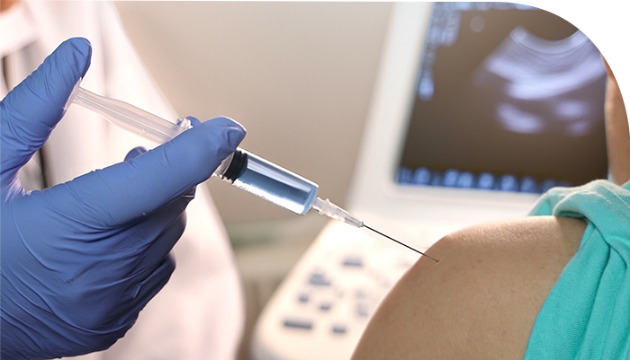 ������ ������ ���� �ֻ�ġ���� Ư¡