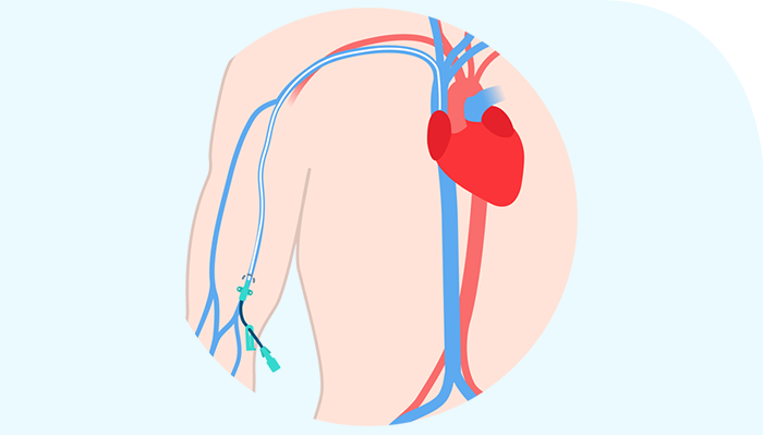 ���������ֻ� �ʿ��� ���